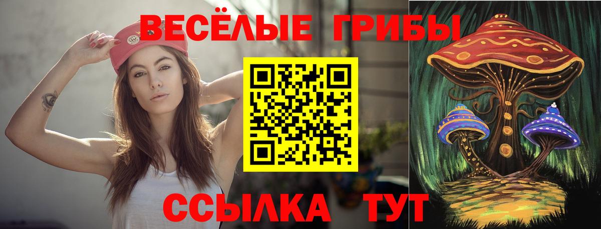 Псилоцибиновые грибы Psilocybine cubensis  Вход с VPN  Борисоглебск 
